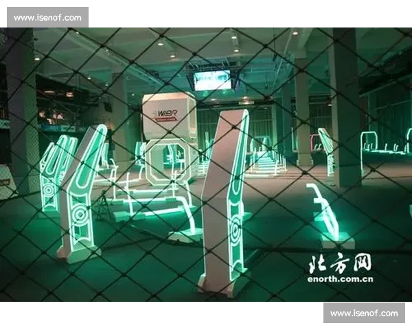 巴西Gogoboy比赛精彩瞬间全纪录展示技巧与激情对决